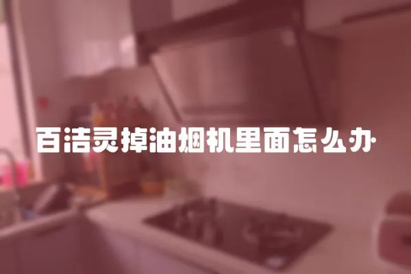 百潔靈掉油煙機里面怎么辦