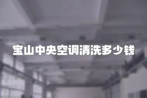 寶山中央空調(diào)清洗多少錢