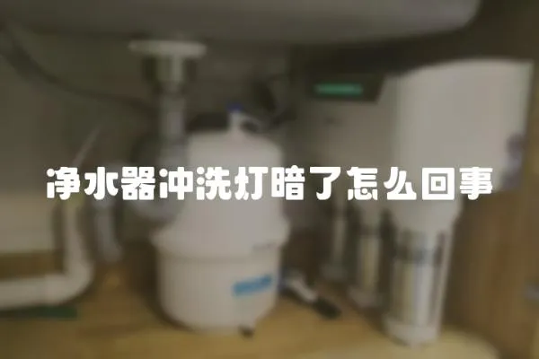 凈水器沖洗燈暗了怎么回事