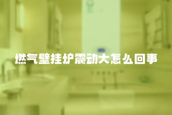 燃?xì)獗趻鞝t震動(dòng)大怎么回事