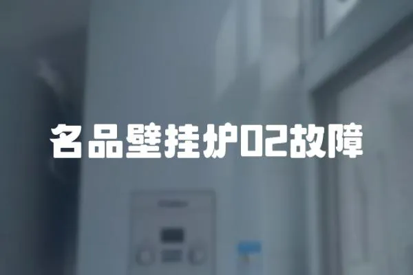 名品壁挂炉02故障