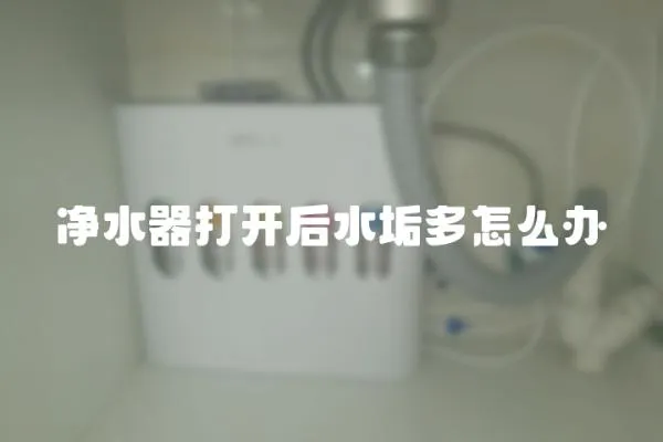 凈水器打開后水垢多怎么辦