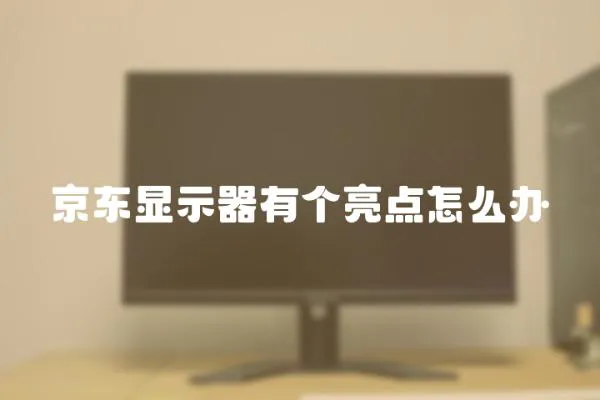 京東顯示器有個亮點怎么辦