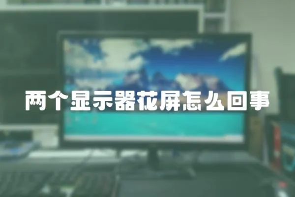 兩個顯示器花屏怎么回事