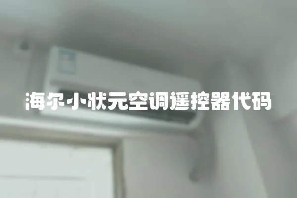 海爾小狀元空調遙控器代碼