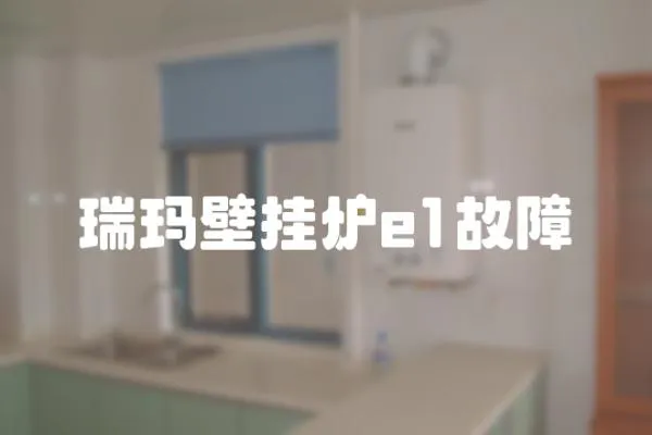 瑞瑪壁掛爐e1故障