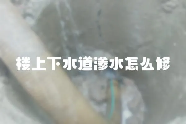 樓上下水道滲水怎么修