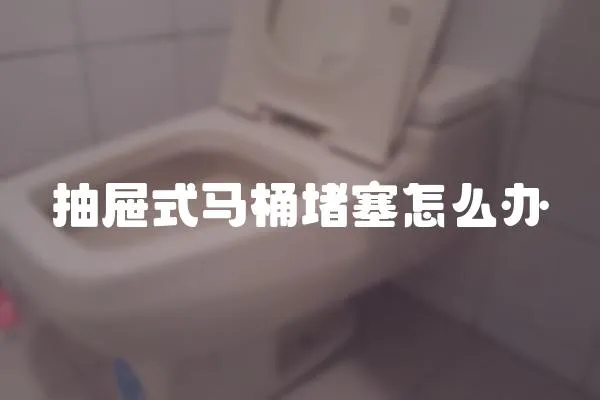 抽屜式馬桶堵塞怎么辦