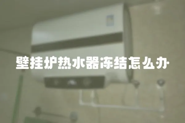 壁掛爐熱水器凍結(jié)怎么辦
