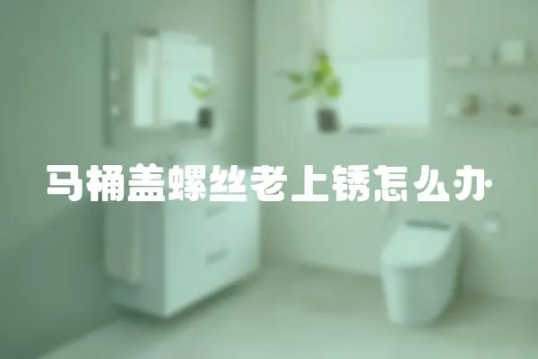 馬桶蓋螺絲老上銹怎么辦