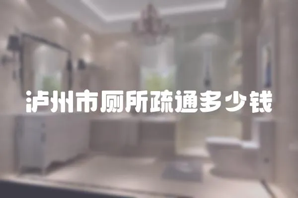 瀘州市廁所疏通多少錢