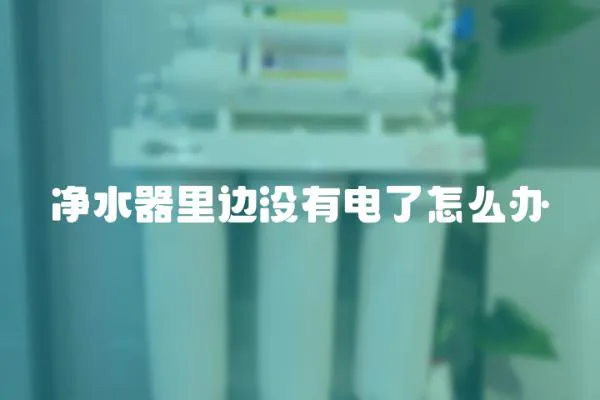 凈水器里邊沒有電了怎么辦