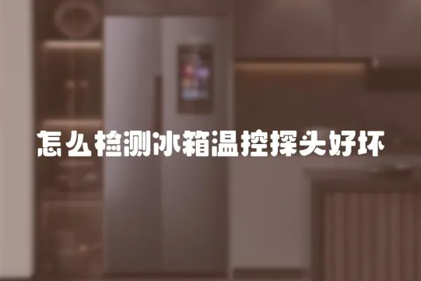 怎么檢測冰箱溫控探頭好壞