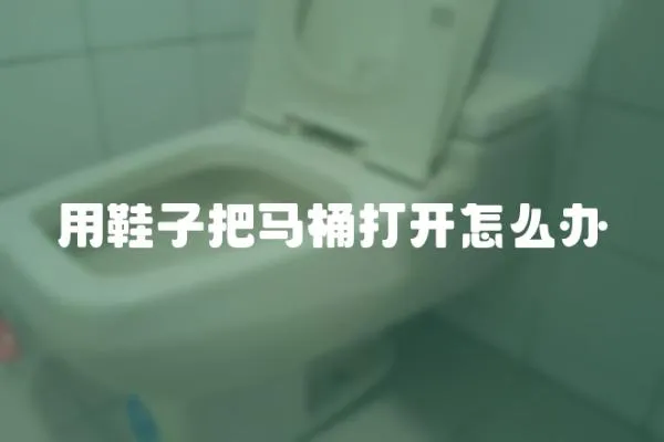 用鞋子把馬桶打開怎么辦