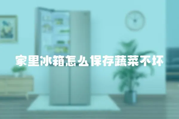 家里冰箱怎么保存蔬菜不壞