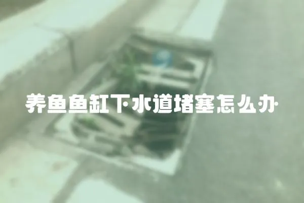 養(yǎng)魚魚缸下水道堵塞怎么辦