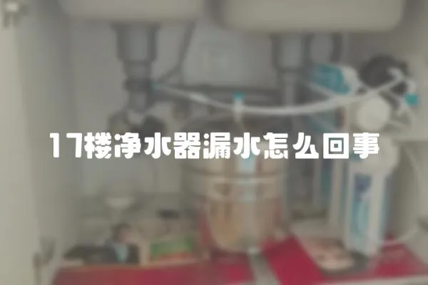 17樓凈水器漏水怎么回事
