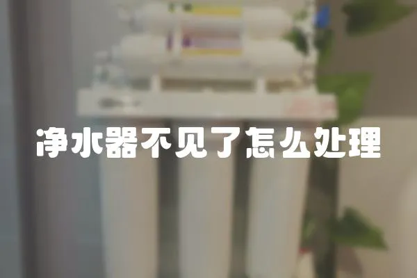 凈水器不見了怎么處理