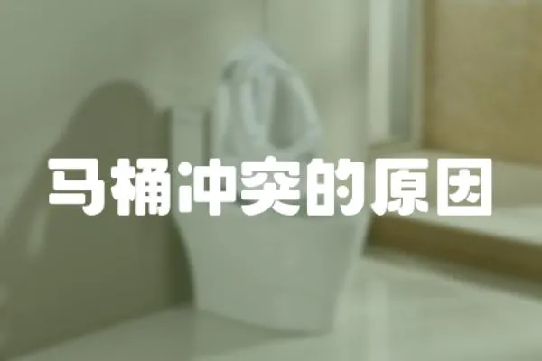 馬桶沖突的原因