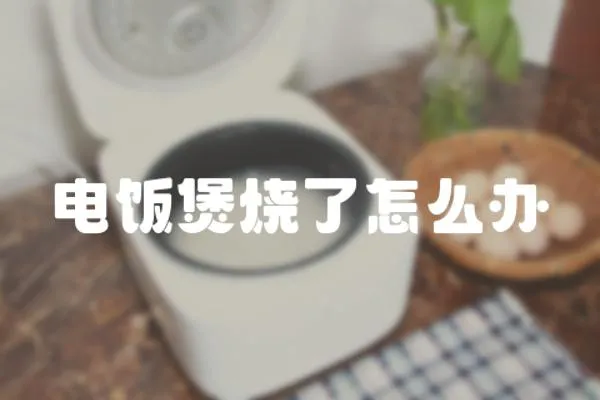 電飯煲燒了怎么辦