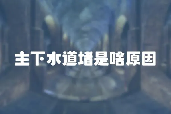 主下水道堵是啥原因
