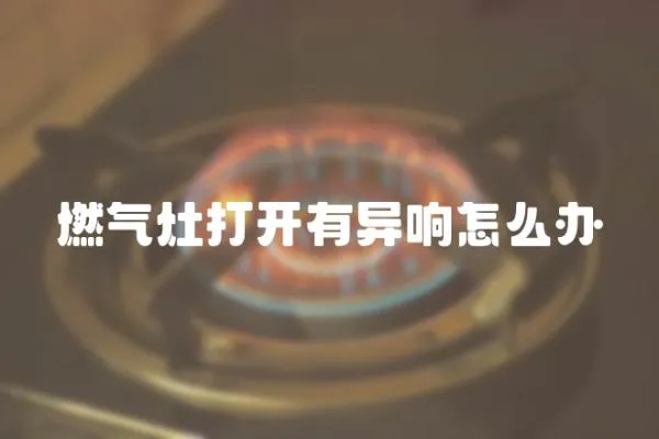 燃氣灶打開有異響怎么辦