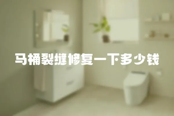 馬桶裂縫修復一下多少錢