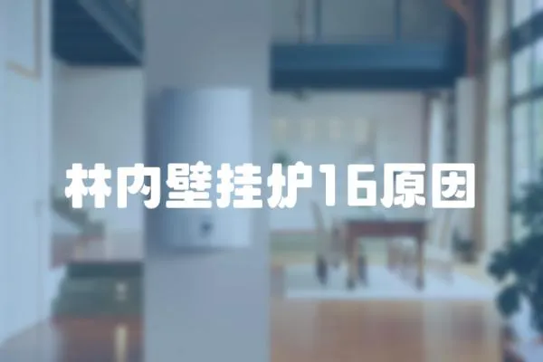 林內壁掛爐16原因