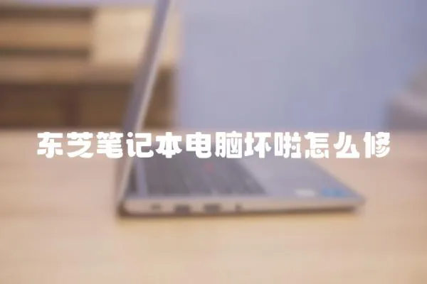 東芝筆記本電腦壞啦怎么修