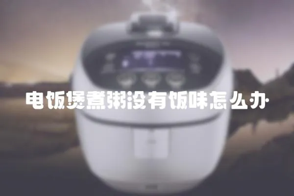 電飯煲煮粥沒有飯味怎么辦