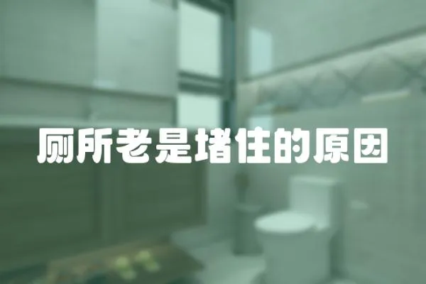 廁所老是堵住的原因