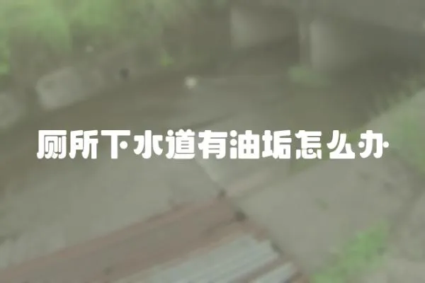 廁所下水道有油垢怎么辦