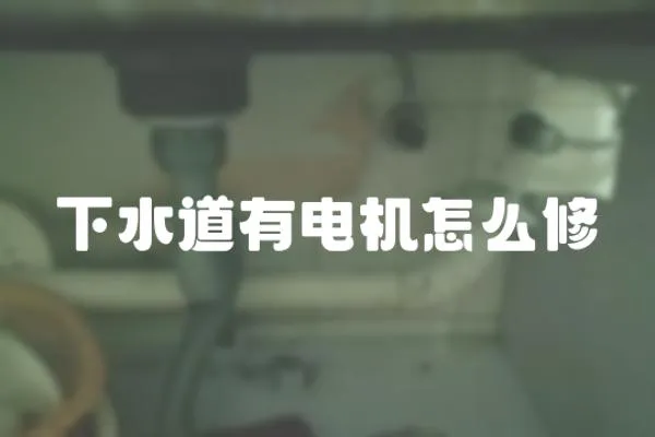 下水道有電機(jī)怎么修