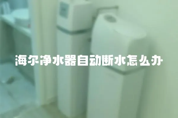 海爾凈水器自動斷水怎么辦