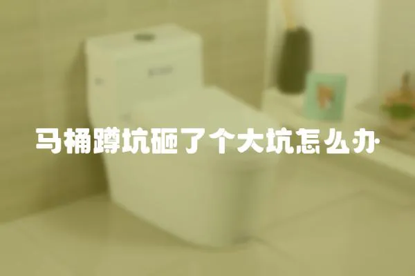 馬桶蹲坑砸了個大坑怎么辦