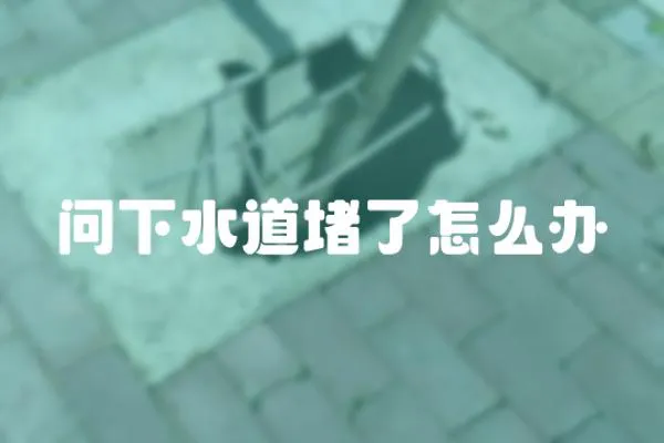 問下水道堵了怎么辦