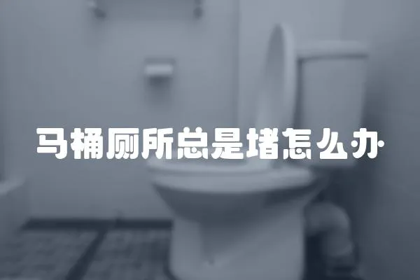 馬桶廁所總是堵怎么辦