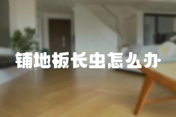 鋪地板長蟲怎么辦