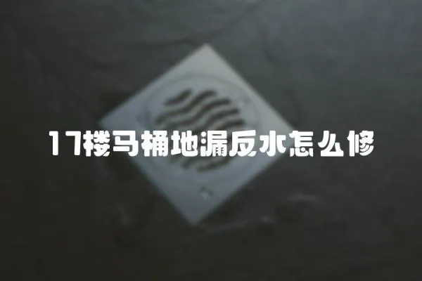 17樓馬桶地漏反水怎么修