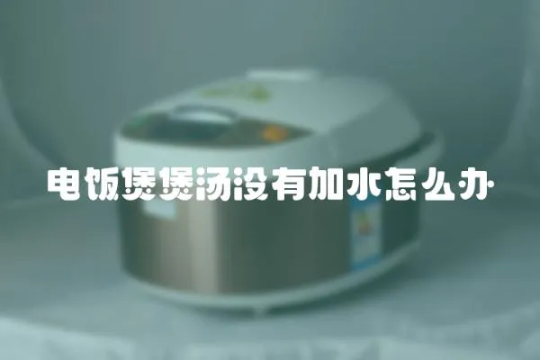 電飯煲煲湯沒有加水怎么辦