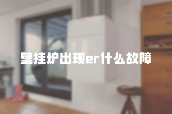 壁掛爐出現(xiàn)er什么故障