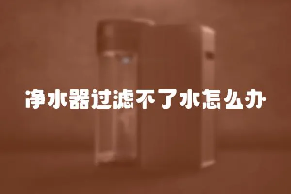 凈水器過濾不了水怎么辦