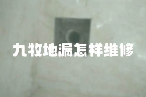 九牧地漏怎樣維修