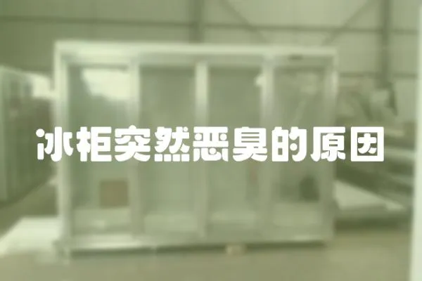 冰柜突然惡臭的原因