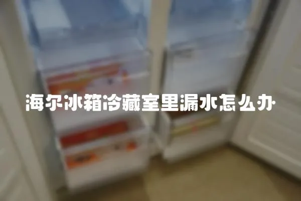 海爾冰箱冷藏室里漏水怎么辦