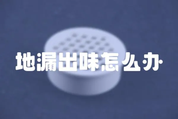 地漏出味怎么辦
