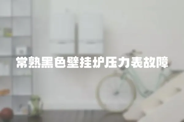 常熟黑色壁掛爐壓力表故障