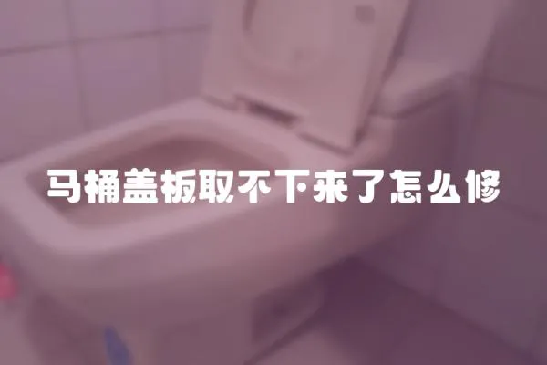馬桶蓋板取不下來了怎么修