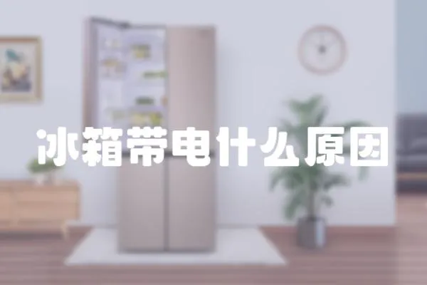 冰箱帶電什么原因