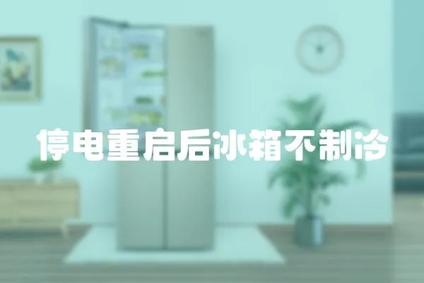 停電重啟后冰箱不制冷